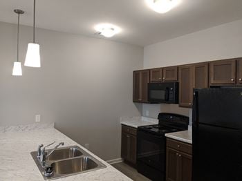 Energy efficient black appliances